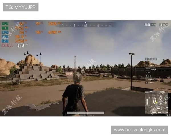 游戏闪退现象解析：内存不足与CPU温度过高的双重影响分析